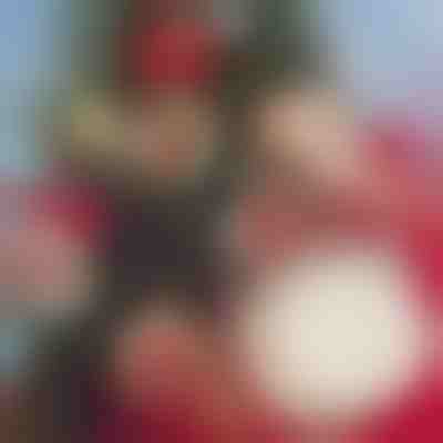 DIY Božićni Ukras (30 Komada) | ORNAMENTIFY