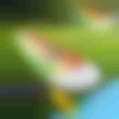 Tobogan na napuhavanje (465 x 80 cm) | REEFLY