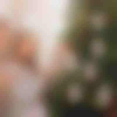 Božićni ukrasni držač novaca (4 kom) | WEALTHMAS