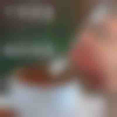 Božićne ukrasne žlice (4 komada) | XMASSPOON