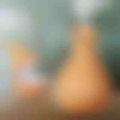 Drveni ovlaživač zraka | HUMISTER