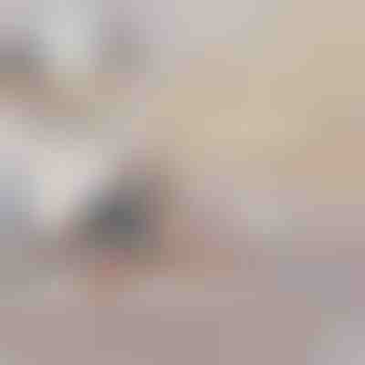 Napuhujući Kauč na Razvlačenje | SOFLINKA