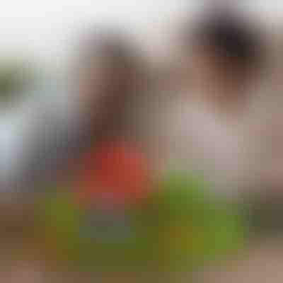 Magnetne minicraft kocke (48 kom) | MAGCRAFTI