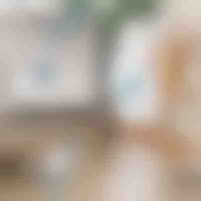 Električna rotacijska četka za čišćenje | ROTOBRUSH