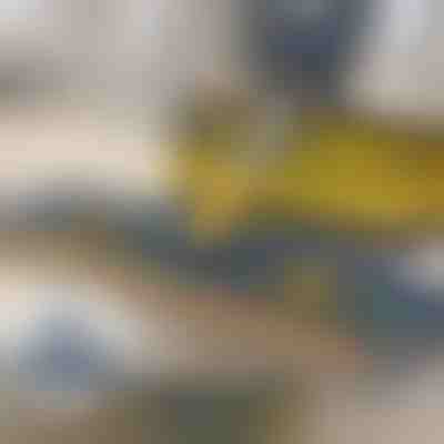 Samocijedeći čistač od 360° za jednostavno čišćenje | SVEEPA