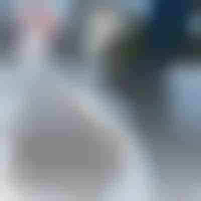 Silikonske navlake za cipele | SHOESAVER