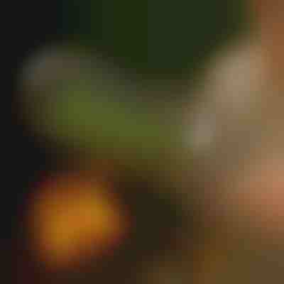 Košara za roštilj na okretanje | ROLOGRILL