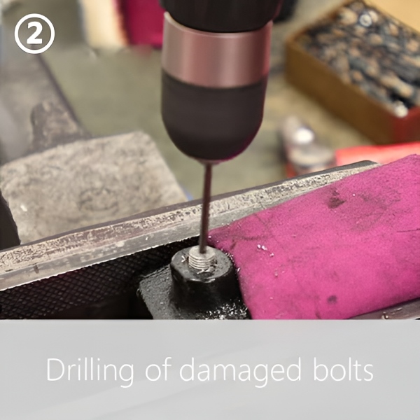 SCREWX-3831127614508-EN-2__190825